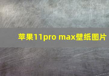 苹果11pro max壁纸图片